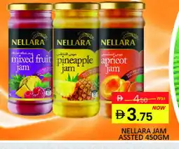 Mango Hypermarket LLC NELLARA Jam offer