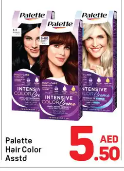 Day To Day PALETTE Hair Colour offer