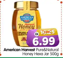 Al Madina Hypermarket AMERICAN HARVEST Honey offer