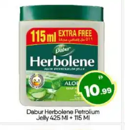 Bigmart DABUR Petroleum Jelly offer