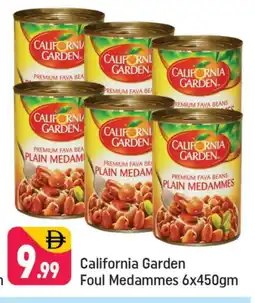 Shaklan CALIFORNIA Fava Beans offer