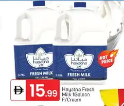 Talal Market HAYATNA Fresh Milk offer