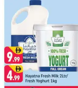 Shaklan HAYATNA Yoghurt offer