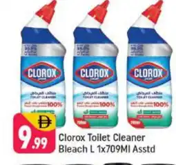 Shaklan CLOROX Toilet / Drain Cleaner offer