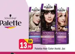 Shaklan PALETTE Hair Colour offer