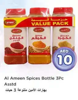 Nesto AL AMEEN Spices / Masala offer