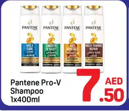 Day To Day PANTENE Shampoo / Conditioner offer