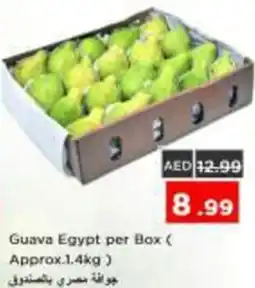 Nesto Guava Egypt offer