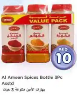Nesto Al Ameen Spices Bottle Asstd offer