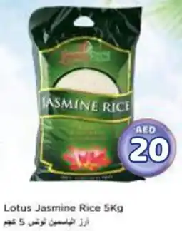Nesto Lotus Jasmine Rice offer