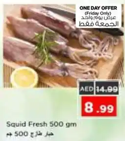 Nesto Squid Fresh offer