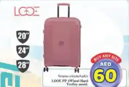 Nesto LOOE PP 4Wheel Hard Trolley asstd. offer