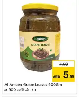 Nesto AL AMEEN Pickle offer
