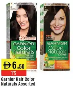 West Zone Supermarket Garnier Hair Color Naturals Assorted offer