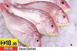 West Zone Supermarket Sarar / Sultan offer