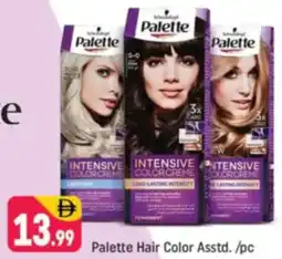 Shaklan Palette Hair Color Asstd. offer