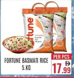 Day Star Department Store FORTUNE Basmati / Biryani Rice offer