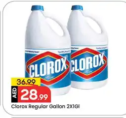 Mark & Save CLOROX Bleach offer