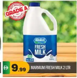 Bigmart MARMUM Fresh Milk offer