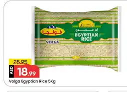 Mark & Save VOLGA Egyptian / Calrose Rice offer