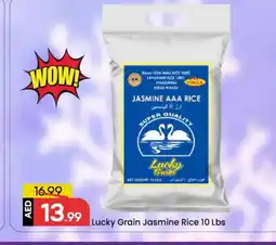 Mark & Save VOLGA Jasmine Rice offer