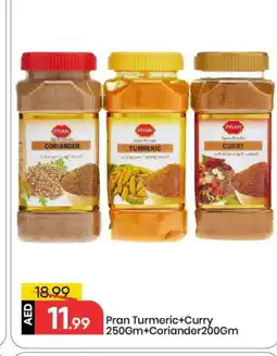 Mark & Save PRAN Spices / Masala offer