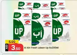 Mark & Save AL AIN Laban offer