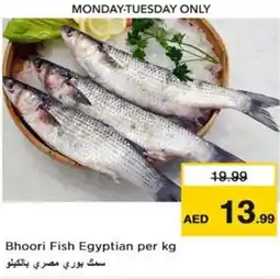 Nesto Bhoori Fish Egyptian offer