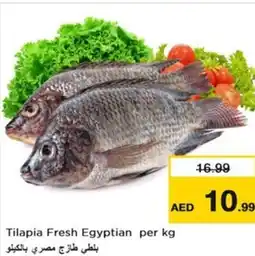 Nesto Tilapia Fresh Egyptian offer