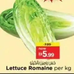Nesto Lettuce Romaine offer