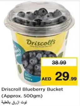 Nesto Driscroll Blueberry Bucket offer