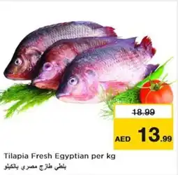 Nesto Tilapia Fresh Egyptian offer