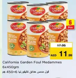 Nesto CALIFORNIA GARDEN Fava Beans offer