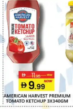 Mango Hypermarket LLC AMERICAN HARVEST Tomato Ketchup offer