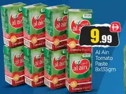 Bigmart AL AIN Tomato Paste offer