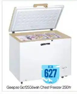Bigmart GEEPAS Freezer offer