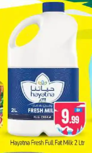Bigmart HAYATNA Fresh Milk offer