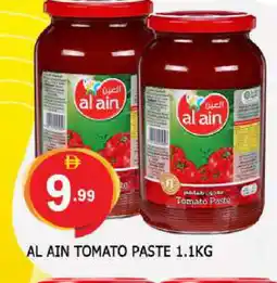 Al Madina AL AIN Tomato Paste offer