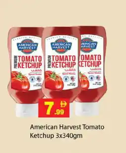 Gulf Hypermarket AMERICAN HARVEST Tomato Ketchup offer
