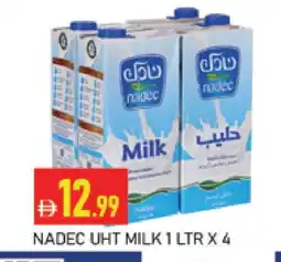 Al Madina NADEC Long Life / UHT Milk offer