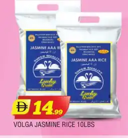 Al Madina VOLGA Jasmine Rice offer