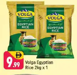 Shaklan VOLGA Egyptian / Calrose Rice offer