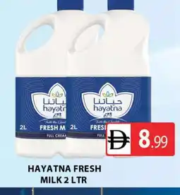 Al Madina HAYATNA Full Cream Milk offer