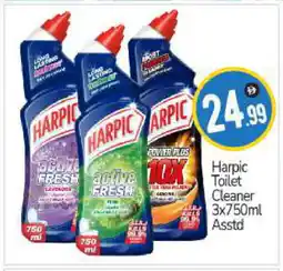 Bigmart HARPIC Toilet / Drain Cleaner offer