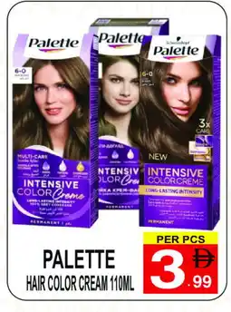 Gift Point PALETTE Hair Colour offer
