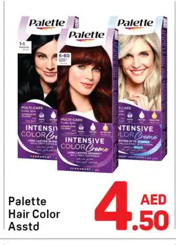 Day To Day PALETTE Hair Colour offer