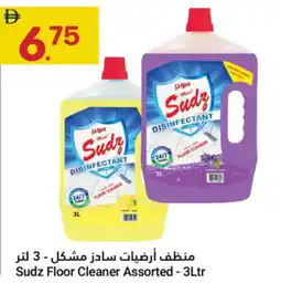 Grand Emirates Market Sudz Floor Cleaner Assorted offer