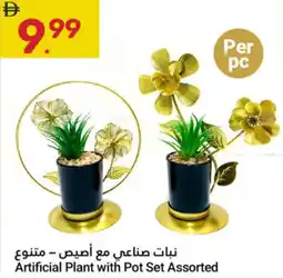 Grand Emirates Market Artificial Plant with Pot Set Assorted offer