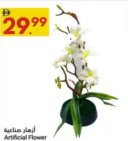 Grand Emirates Market Artificial Flower offer