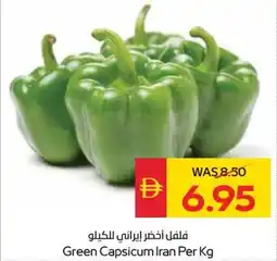 Spar Green Capsicum Iran offer